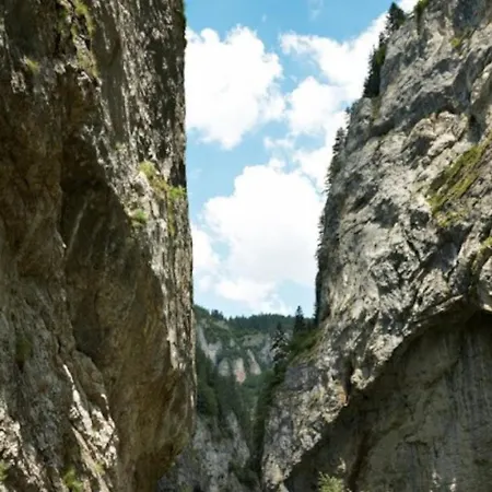 Rodopi *