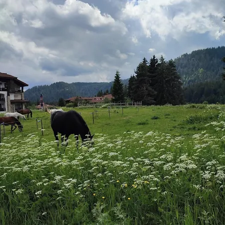 Rodopi Smolyan